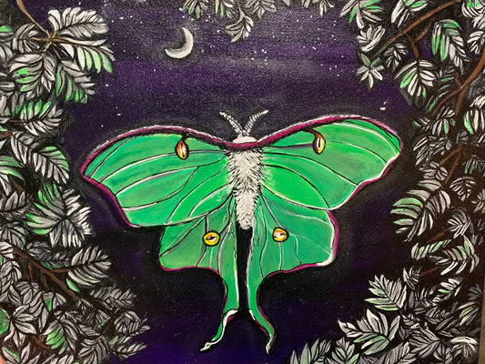 Luna Moth Art Print